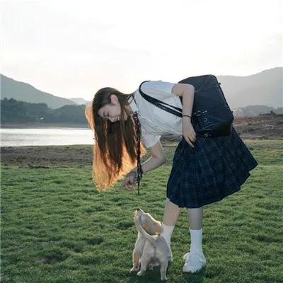 完美妻子的完美复仇计划